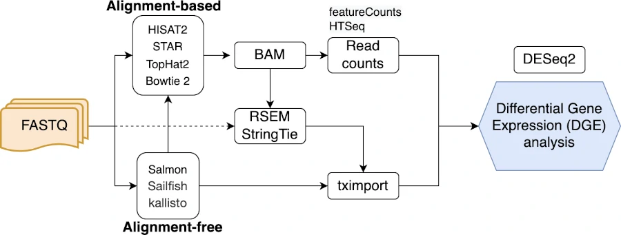 Differential Gene Expression Analysis Using DESeq2 comprehensive Tutorial 