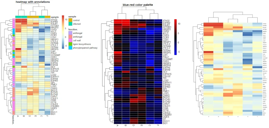 heatmaps with pheatmap R package