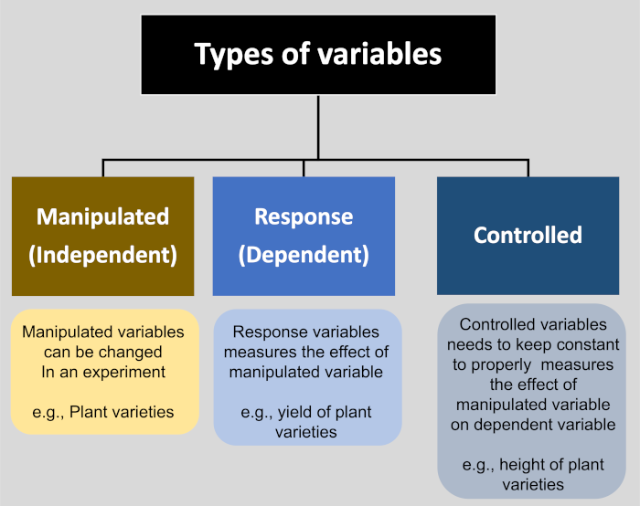 Manipulated Response And Control Variables definition And Research 